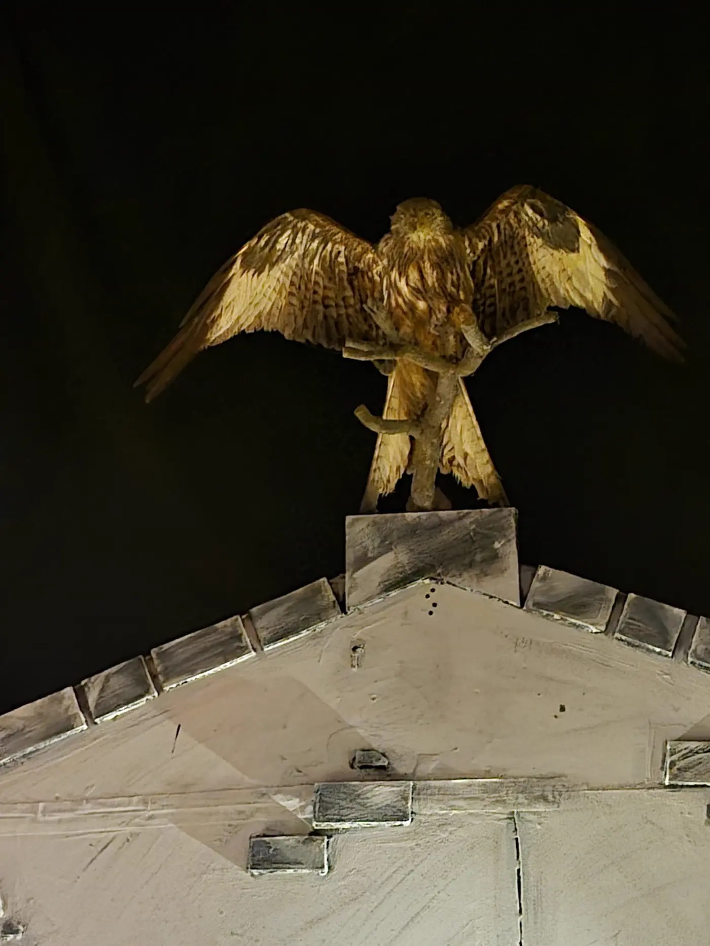 Águila esculpida sobre frontón de piedra